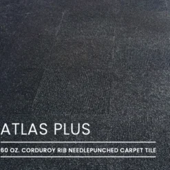 Atlas Commercial Carpet Tile 1/2 Inch X 19.69x19.69 Inches 12 per Carton