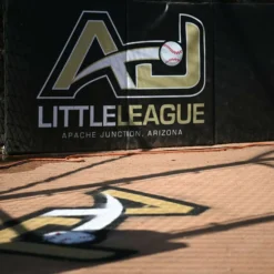 BaseBall BackStop Folding Pad 2 Inch x 4x8 Ft.