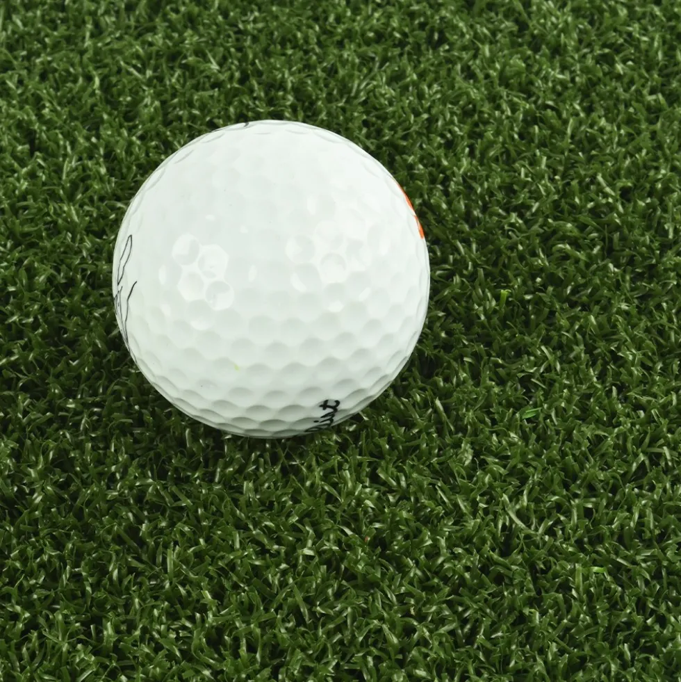 Bermuda Artificial Grass Turf Roll 15 Ft wide x 5mm Padded per SF