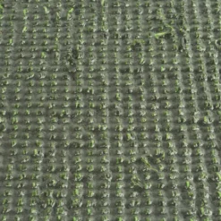 Bermuda Artificial Grass Turf Roll Colors 9/16 Inch x 15 Ft. Wide Per SF