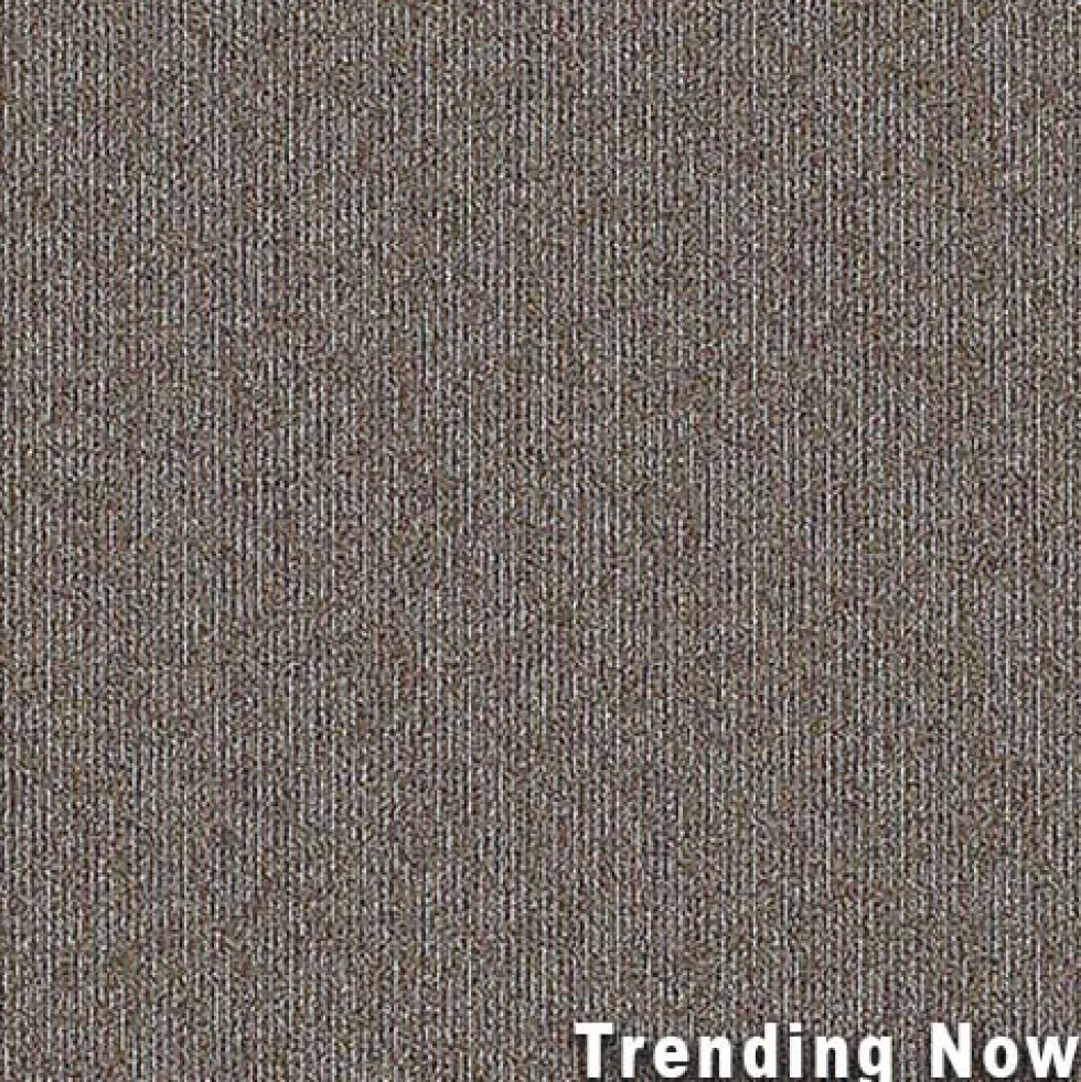 Breaking News Commercial Carpet Tiles 5.7 mm x 24x24 Inches Carton of 24