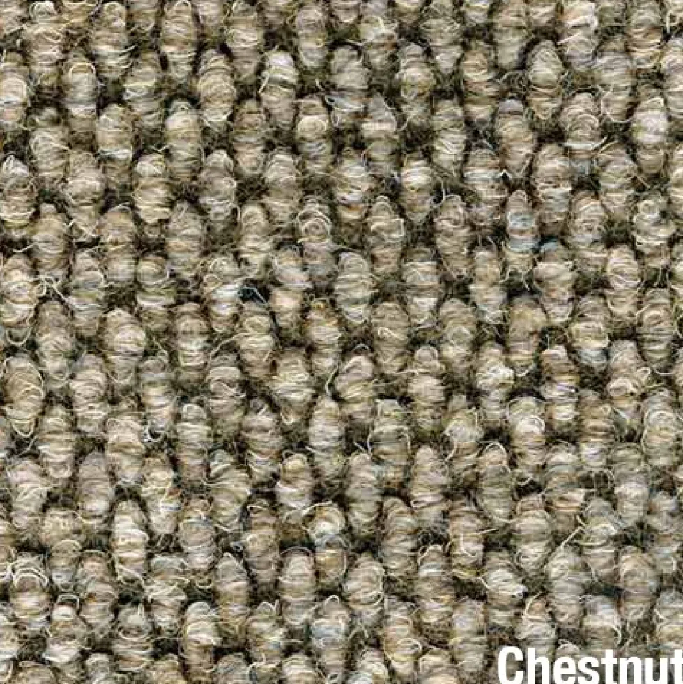 Calypso Heavy Duty Carpet Tile - 3/8 Inch x 19.69x19.69 Inches Carton of 20