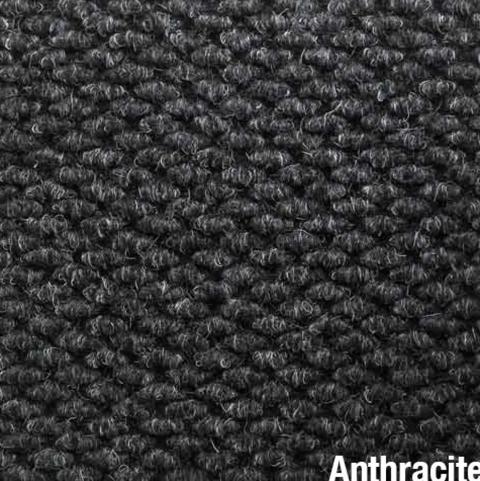 Calypso Heavy Duty Carpet Tile - 3/8 Inch x 19.69x19.69 Inches Carton of 20