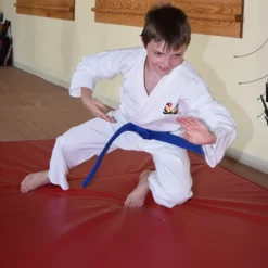 Cushion Crash Mat Bi-Fold 5x10 Ft. x 8 Inch