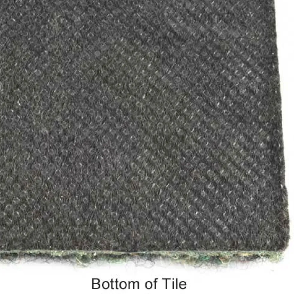 Dominator LP Gym Carpet Tiles 3/8 Inch x 19.69x19.69 Inches 20 per Carton