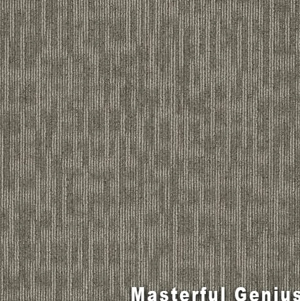 Genius Commercial Carpet Tiles 6.3 mm x 24x24 Inches 20 Per Case
