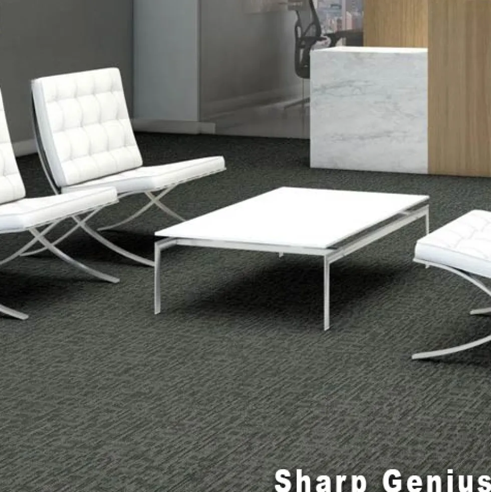 Genius Commercial Carpet Tiles 6.3 mm x 24x24 Inches 20 Per Case