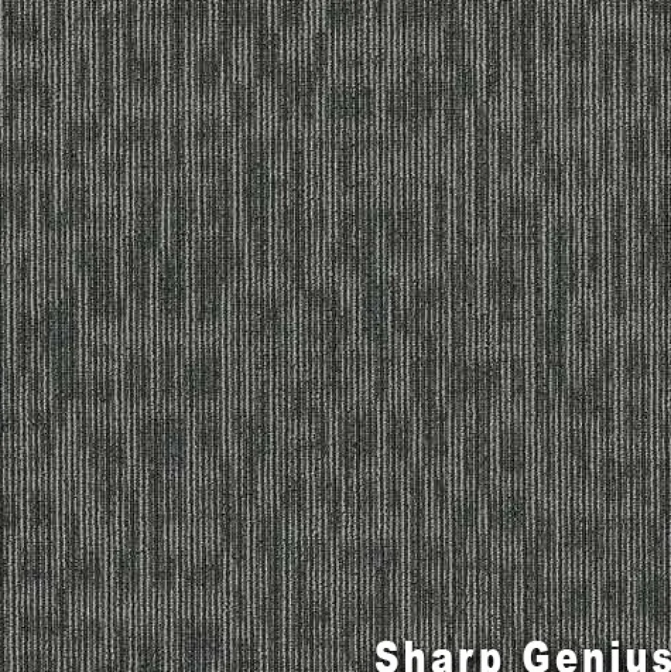 Genius Commercial Carpet Tiles 6.3 mm x 24x24 Inches 20 Per Case