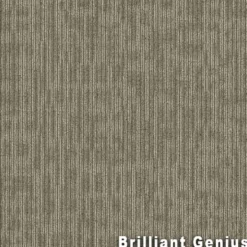 Genius Commercial Carpet Tiles 6.3 mm x 24x24 Inches 20 Per Case