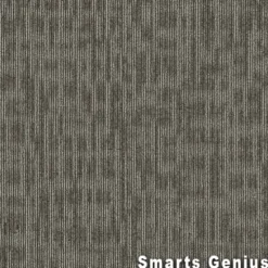 Genius Commercial Carpet Tiles 6.3 mm x 24x24 Inches 20 Per Case