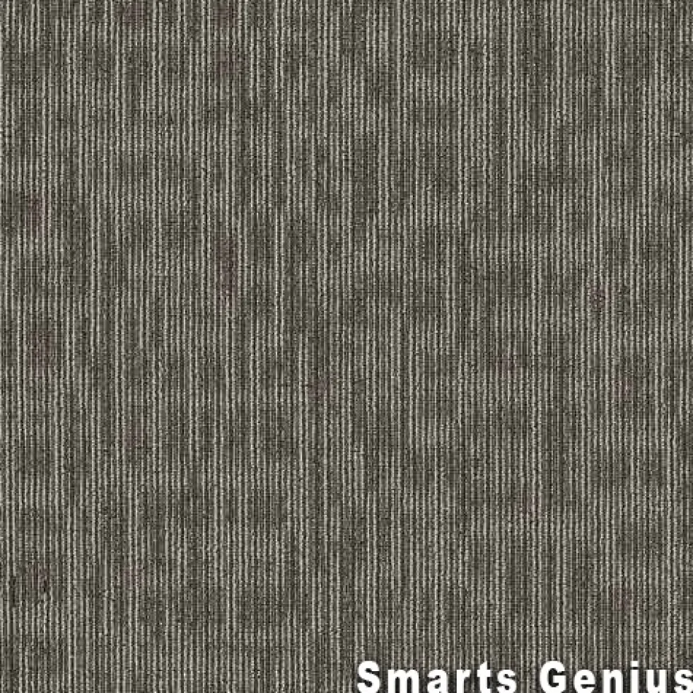 Genius Commercial Carpet Tiles 6.3 mm x 24x24 Inches 20 Per Case