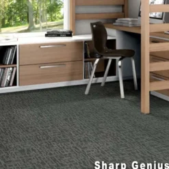 Genius Commercial Carpet Tiles 6.3 mm x 24x24 Inches 20 Per Case