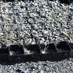 GeoGrid Cellular Paving System 4 cm x 1.6x1.6 Ft.