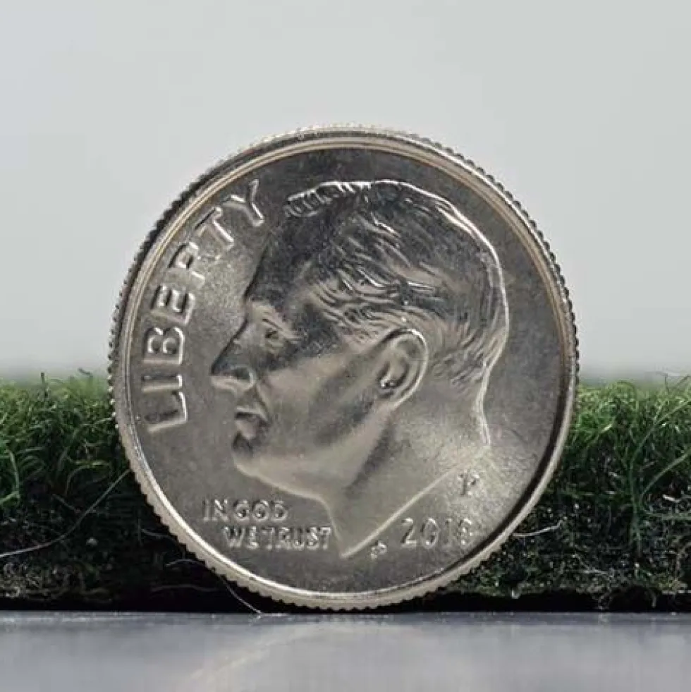 Grizzly Grass Peel and Stick Carpet Tile 1/4 Inch x 24x24 Inches 15 Per Case