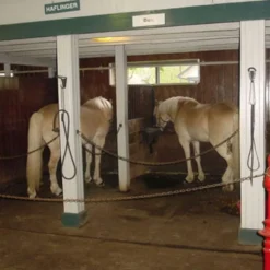 Horse Stall Interlocking 4 Ft. Border Mat Cobblestone 3/4 Inch x 4x6 Ft.
