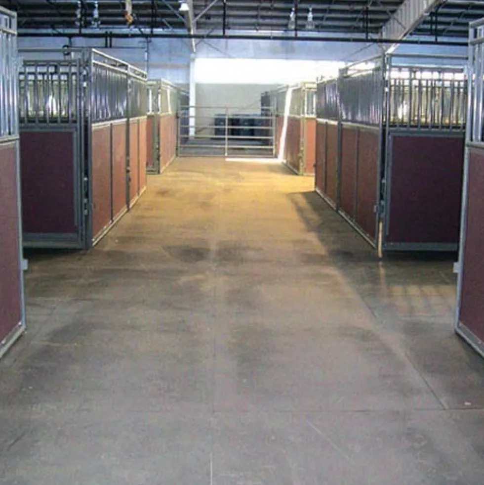 Horse Stall Interlocking 6 Ft. Border Mat Cobblestone 3/4 Inch 2x6 Ft.
