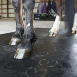 Horse Stall Mat Classic Interlocking 3/4 Inch x 12x12 Ft. Kit