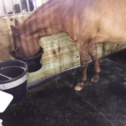 Horse Stall Mats Kit Cobblestone 3/4 Inch x 14x16 Ft.