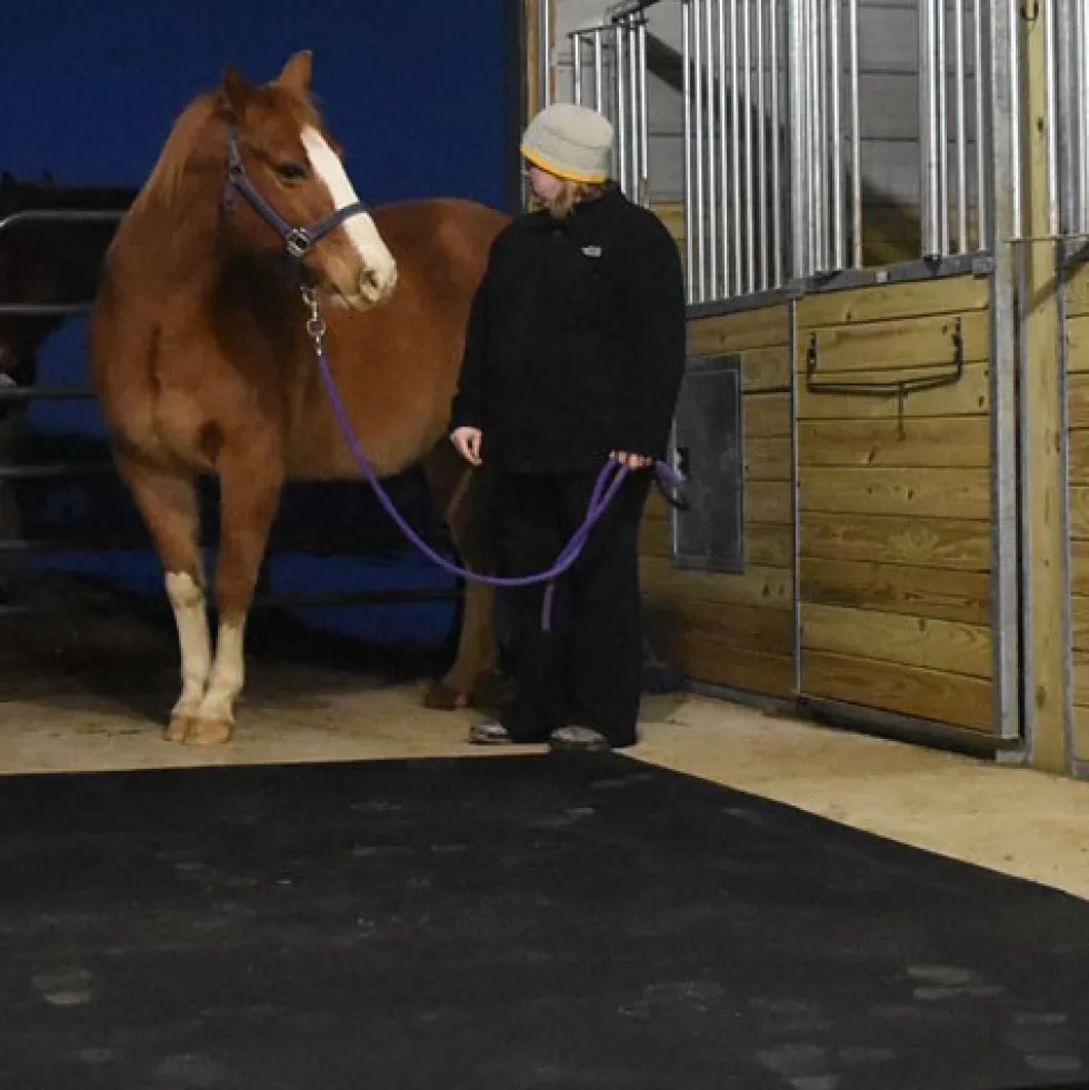 Horse Stall Mats Kit Cobblestone 3/4 Inch x 16x16 Ft.
