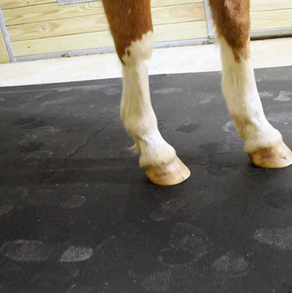 Horse Stall Mats Kit Cobblestone 3/4 Inch x 16x16 Ft.