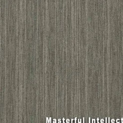 Intellect Commercial Carpet Tiles 6.3 mm x 24x24 Inches 20 Per Case