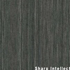 Intellect Commercial Carpet Tiles 6.3 mm x 24x24 Inches 20 Per Case