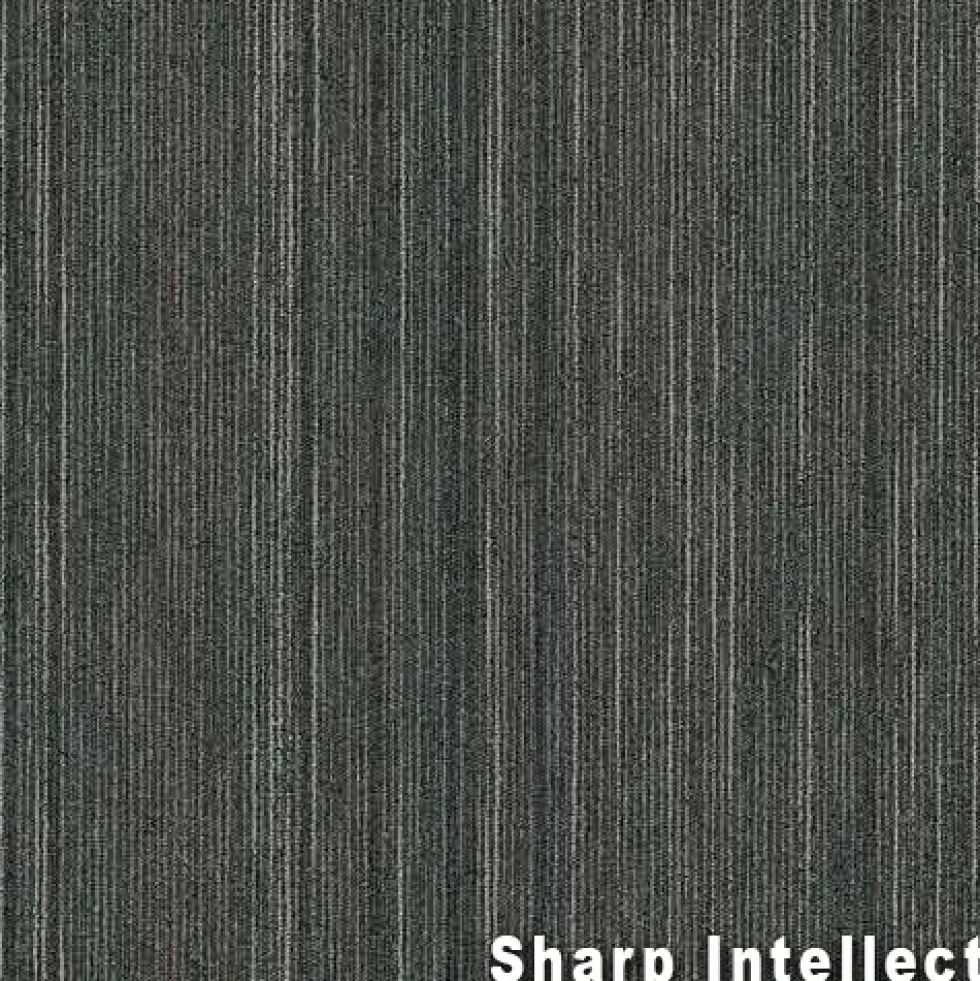 Intellect Commercial Carpet Tiles 6.3 mm x 24x24 Inches 20 Per Case