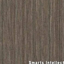 Intellect Commercial Carpet Tiles 6.3 mm x 24x24 Inches 20 Per Case
