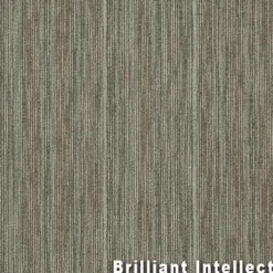 Intellect Commercial Carpet Tiles 6.3 mm x 24x24 Inches 20 Per Case