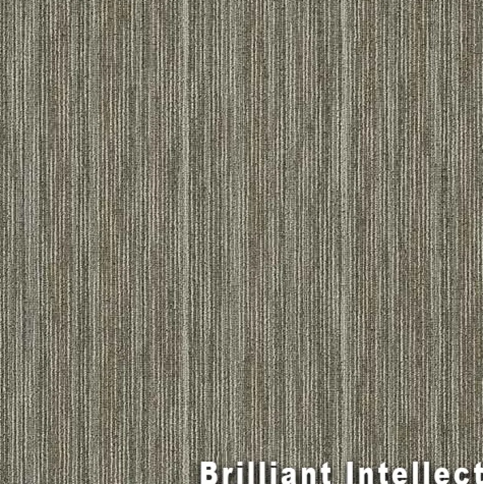 Intellect Commercial Carpet Tiles 6.3 mm x 24x24 Inches 20 Per Case