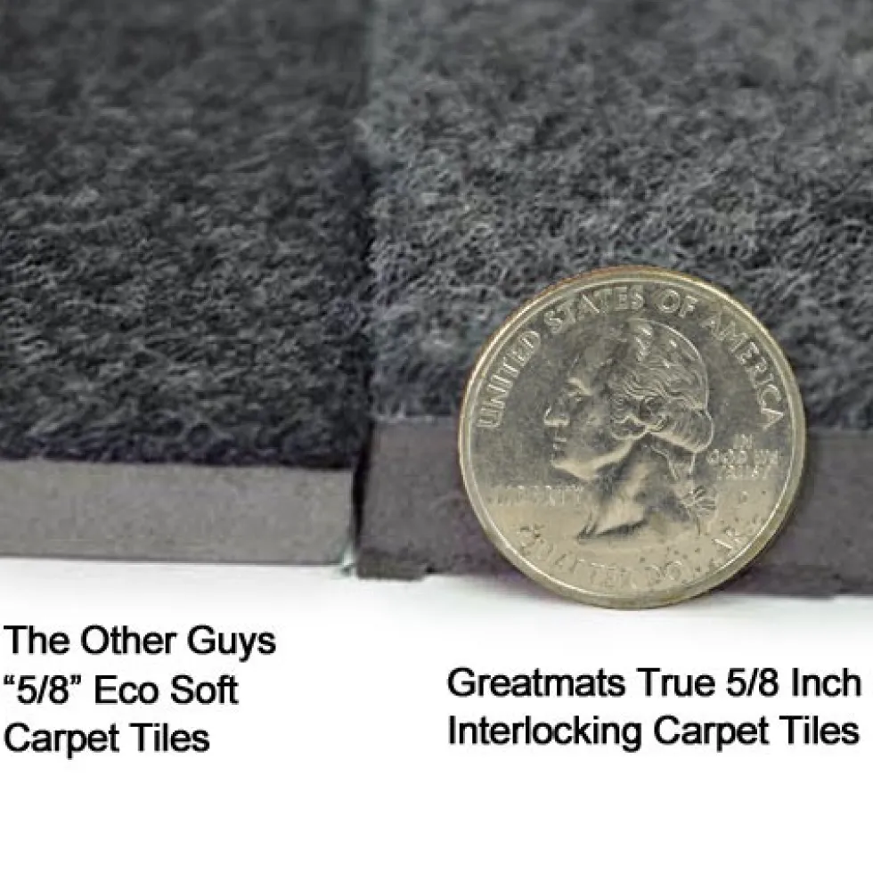 Interlocking Carpet Tiles Royal 20x20 Ft Kit