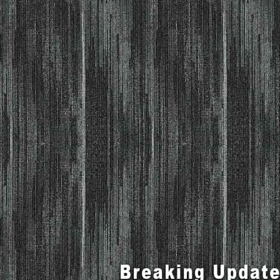 Online Commercial Carpet Tiles 3.9 mm x 24x24 Inches Carton of 24