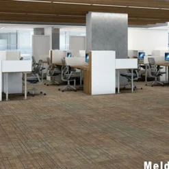 Out of Bounds Commercial Carpet Tile .25 Inch x 24x24 Inches 12 per Carton