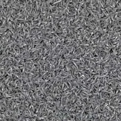 RageTurf Rally Roll 24 mm x 6x25 Ft.