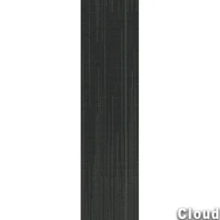 Reverb Commercial Carpet Planks 1/4 Inch x 12x48 Inches Carton of 14