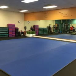 Roll Out Wrestling MMA Mats 5x10 Ft