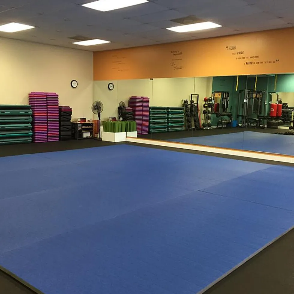 Roll Out Wrestling MMA Mats 5x10 Ft