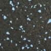 Rubber Tile Interlocking Sport West 10% Blue 3/8 Inch x 2x2 Ft.