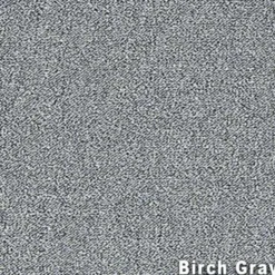 Scholarship II Commercial Carpet Tiles 2.9 mm x 24x24 Inches Carton of 24