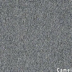 Scholarship II Commercial Carpet Tiles 2.9 mm x 24x24 Inches Carton of 24